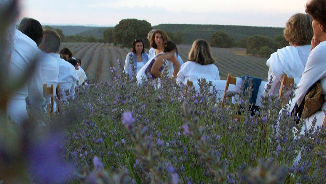 gente lavanda