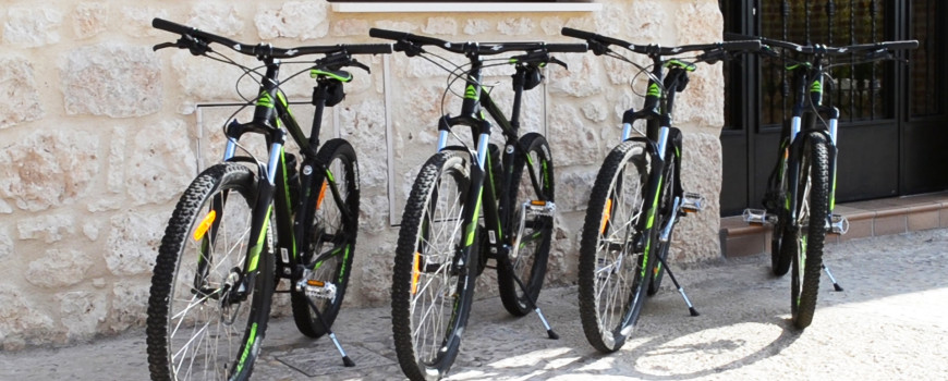 bici